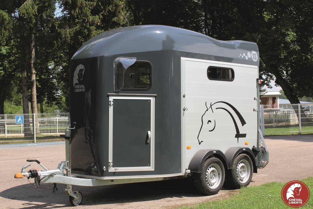 568943_1605277739 Van Cheval Liberté Gold 3 Luxe 2 plazas - Imagen 1