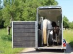 Van Cheval Liberté – 1.5 Pl Touring One - Imagen 5