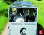 Furgoneta Cheval Touring One – 1.5 PL - Imagen 4