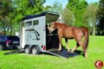 Furgoneta Cheval Touring One – 1.5 PL - Imagen 6