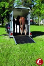 Furgoneta Cheval Touring One – 1.5 PL - Imagen 8