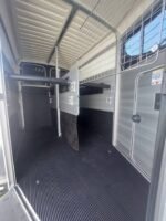 Furgoneta HBX511, espaciosa caravana para dos caballos (2019) - Imagen 9