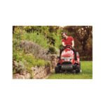 Cortadora de césped con asiento HONDA HF2417HBE - Imagen 3