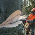 Motosierra de gasolina STIHL MS 661 CM W 63 cm - Imagen 6